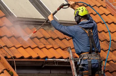 Démoussage et hydrofuge de toiture à Loué